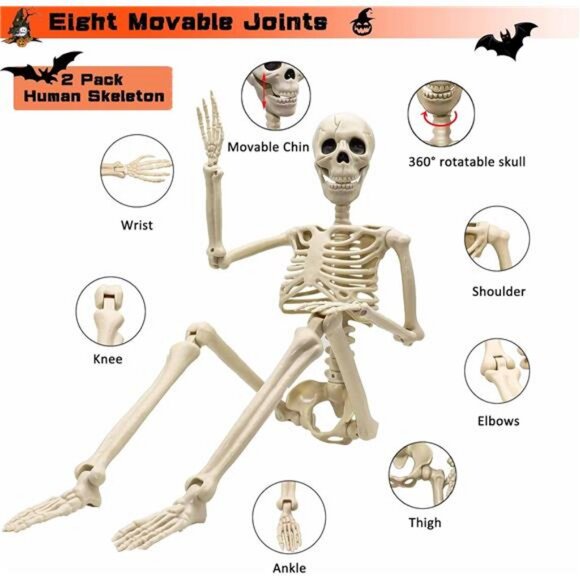 2 Pack 36"Halloween Skeleton - 3 ft Life Size Human Skeleton with Posable Joints - Picture 6 of 7
